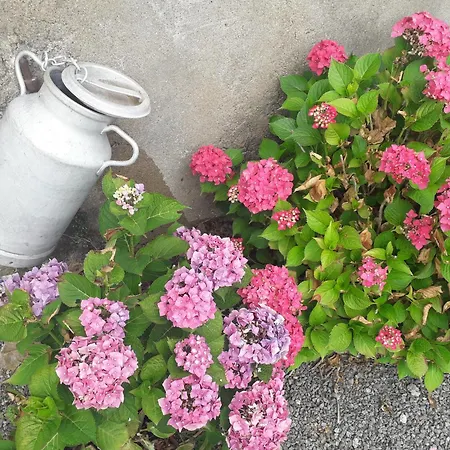 فندق مبيت وإفطار L' Art Champ Beau Rocheserviere