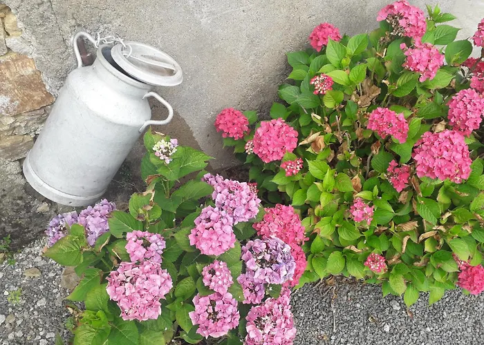 Bed & Breakfast L' Art Champ Beau Rocheserviere